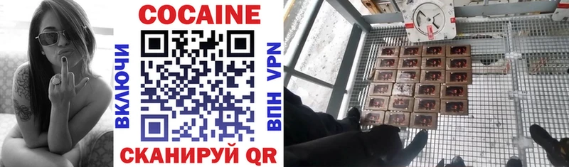 Кокаин Колумбийский  Купить закладки  Жиздра 