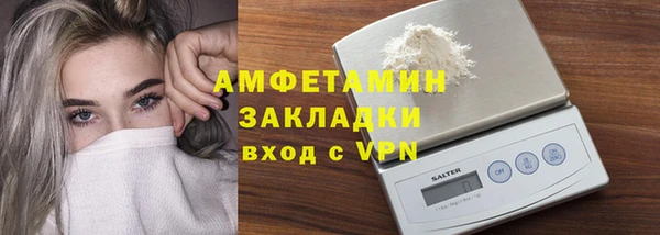 прущие грибы Каменка