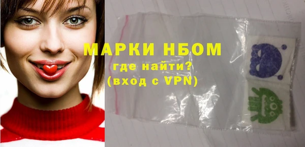 прущие грибы Каменка