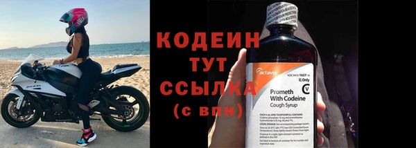 прущие грибы Каменка
