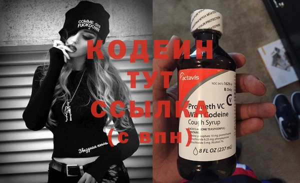 прущие грибы Каменка