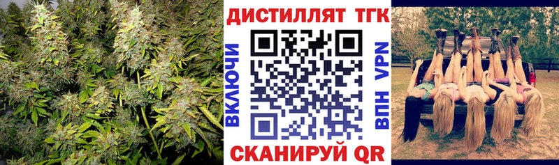 ТГК THC oil  Купить где  Жиздра 